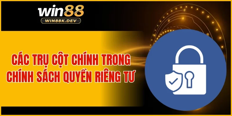 Các trụ cột chính trong chính sách quyền riêng tư