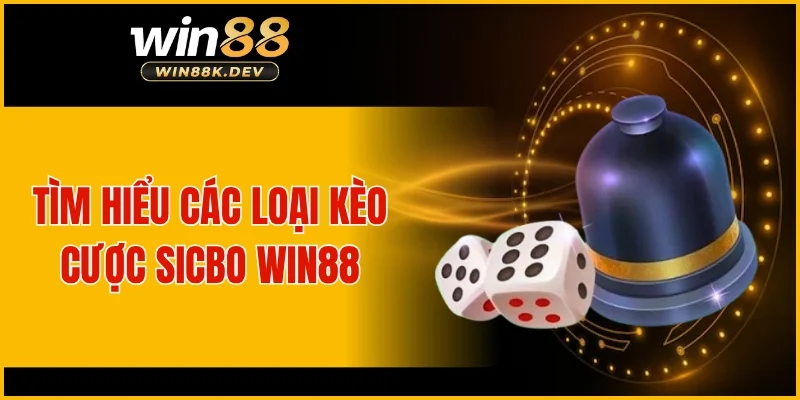 Tìm hiểu các loại kèo cược Sicbo WIN88